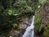 El Yunque national forest