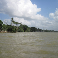 Surinamerivier bij Domburg
