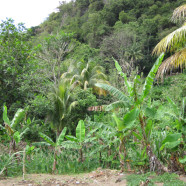 Machoucheri river hike