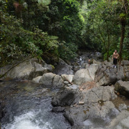 Warm and friendly Puerto Rico