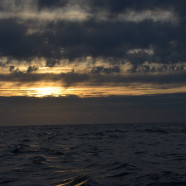 Dag 10 oceaanoversteek; kat en muis op zee