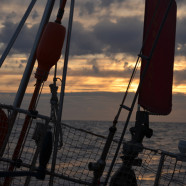 Dag 9 oceaanoversteek; walvis gezien!